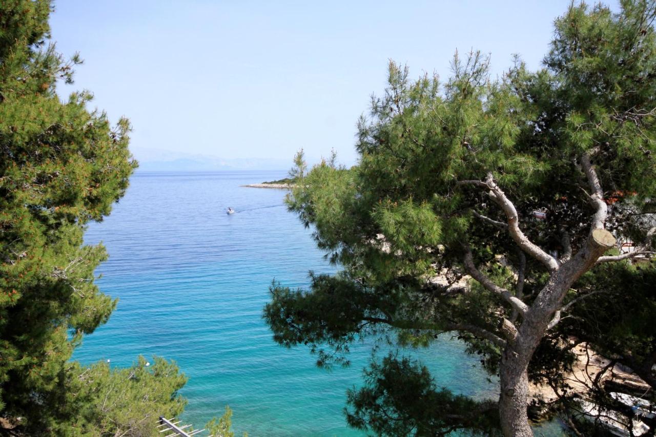Apartments By The Sea Basina, Hvar - 542 Vrbanj Extérieur photo