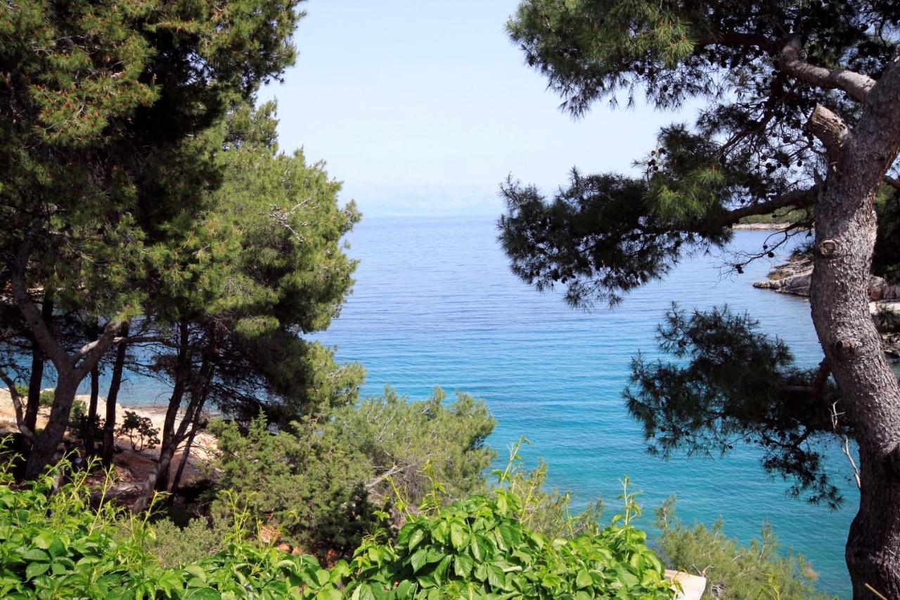 Apartments By The Sea Basina, Hvar - 542 Vrbanj Extérieur photo